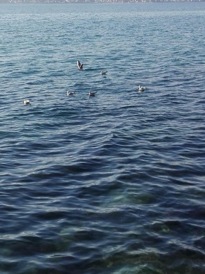 Apartment San Kastela Dış mekan fotoğraf